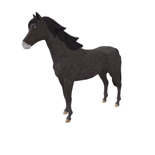 Zkrace Horses