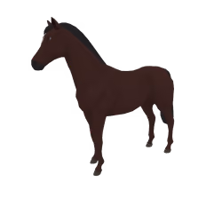 Star of Chester
