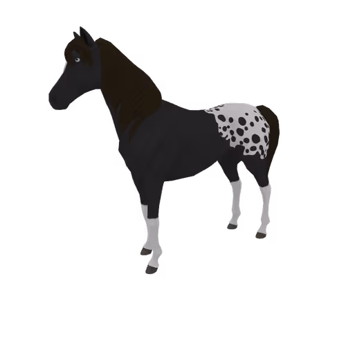 Zkrace Horses