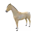 7928