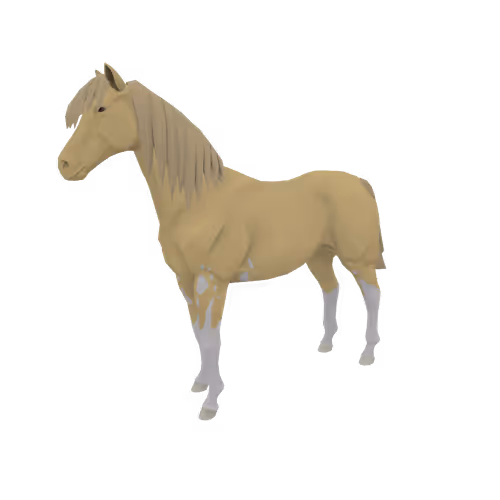 Zkrace Horses