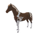 11198