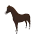 5376