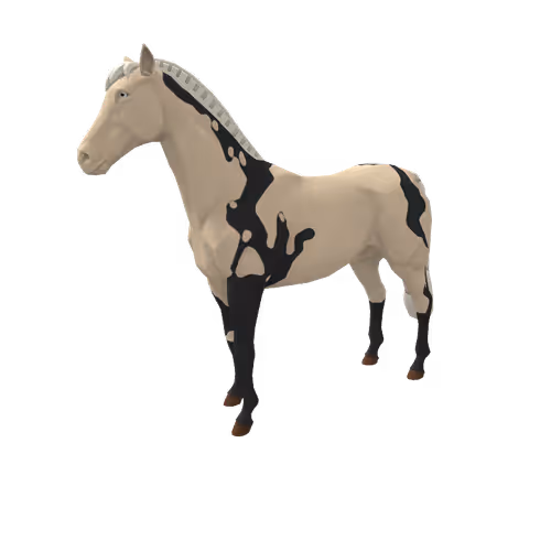 Zkrace Horses