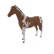 38