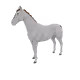 4502