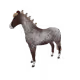 5577