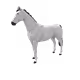 6223
