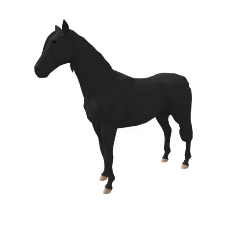 Zkrace Horses