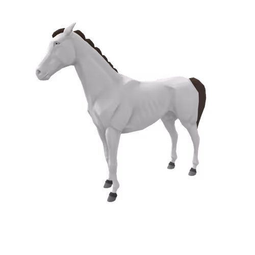 Zkrace Horses