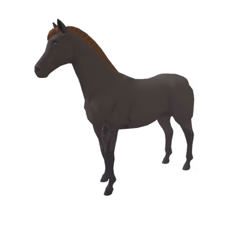 Zkrace Horses