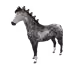 8655