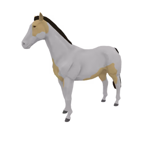 Zkrace Horses