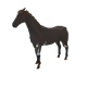7050