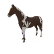 8815