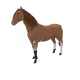 8184