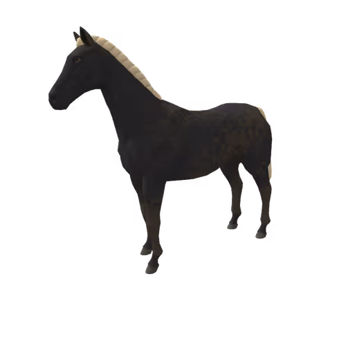Zkrace Horses