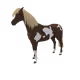 6445