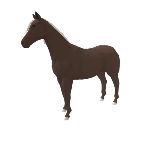 Zkrace Horses