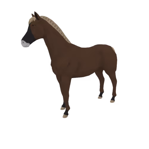 Zkrace Horses