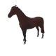 11844