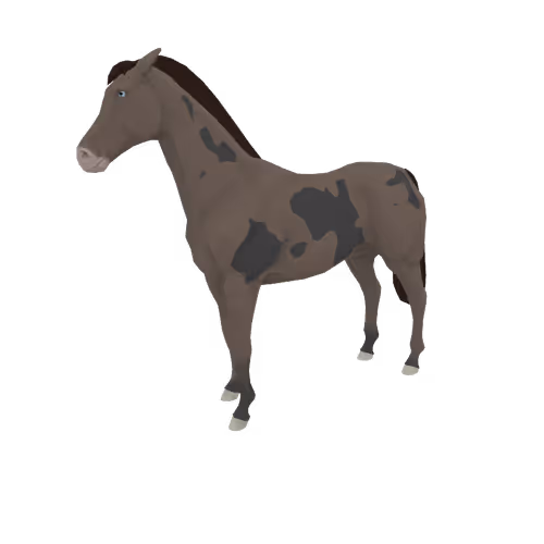 Zkrace Horses