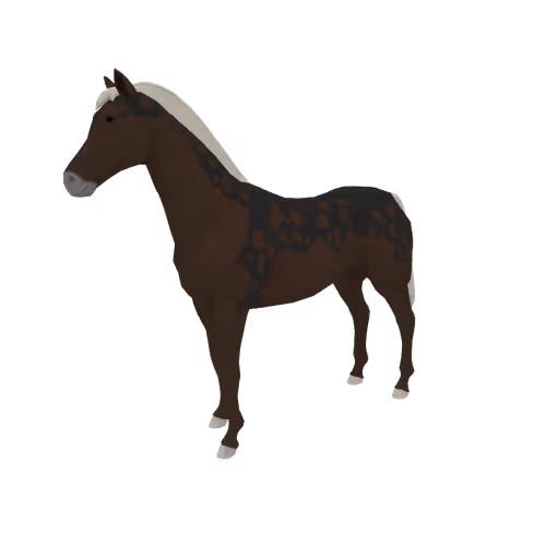 Zkrace Horses