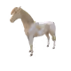11072