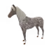 7077