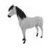 4557