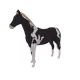 5009