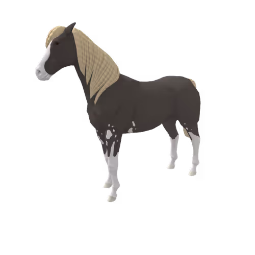 Zkrace Horses
