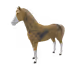 7531