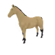 3807
