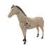 8005