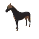 6861