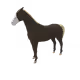 6513