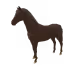 6560
