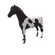 10429