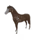 5429