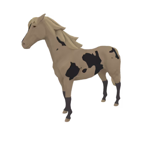 Zkrace Horses