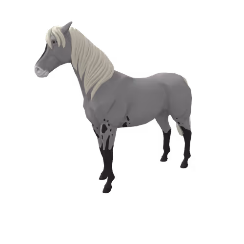 Zkrace Horses