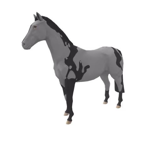 Zkrace Horses