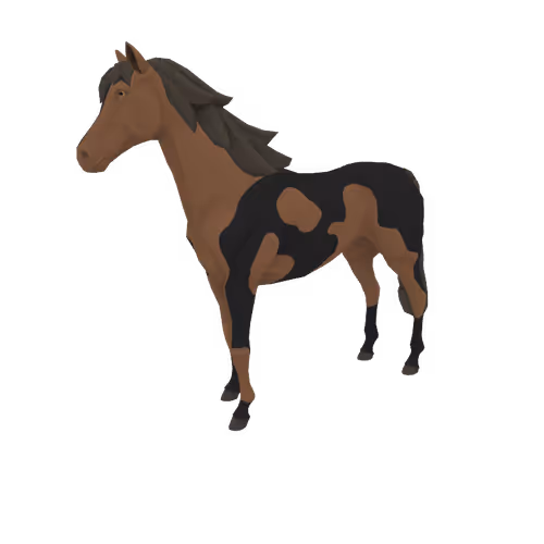 Zkrace Horses