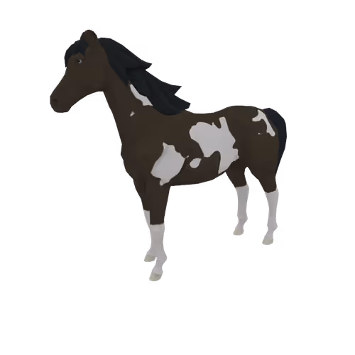 Zkrace Horses