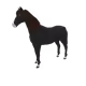 8628