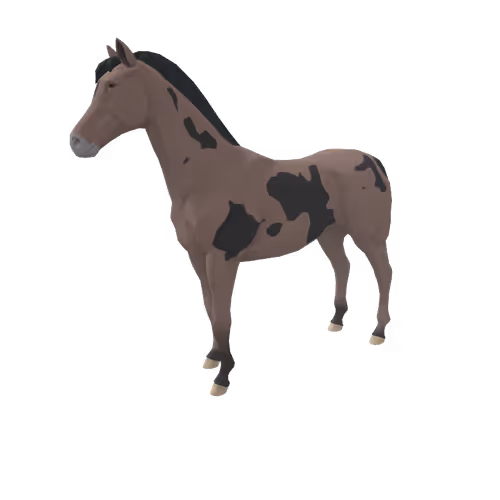 Zkrace Horses