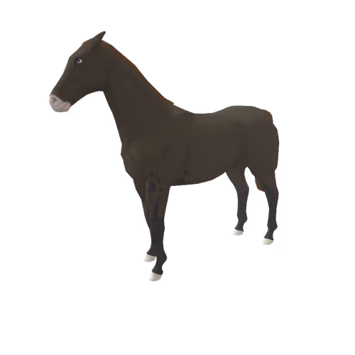 Zkrace Horses