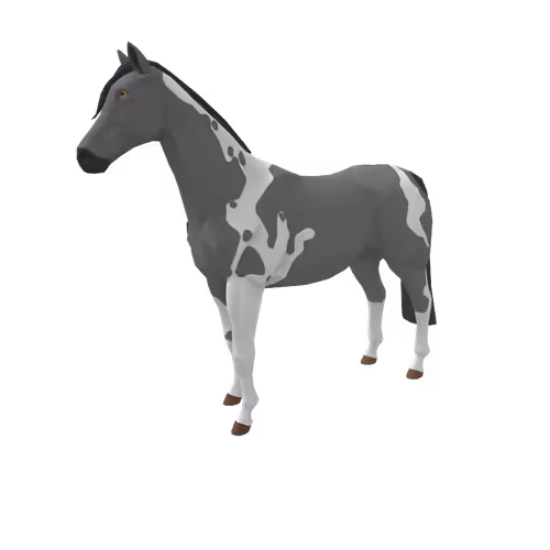 Zkrace Horses