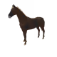 10094